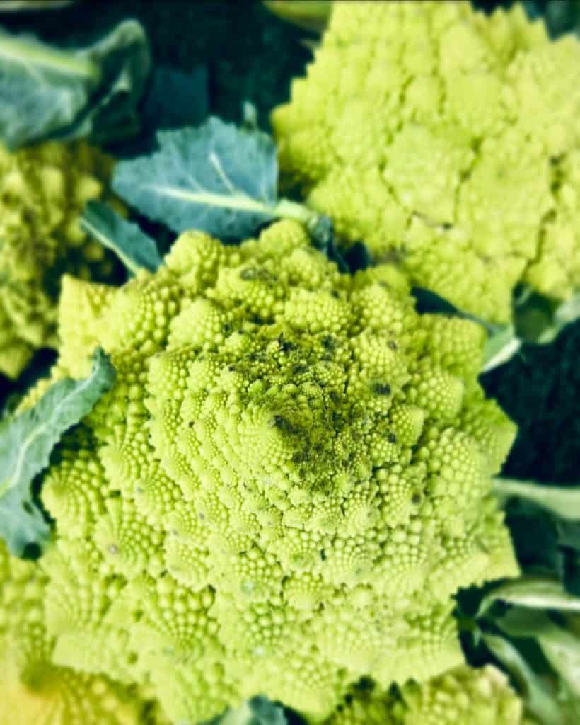 A Romanesco broccoli